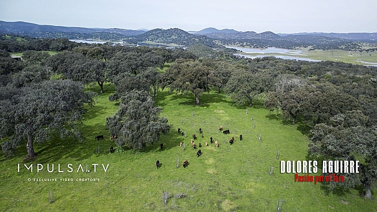 Pasión por Dolores Aguirre: «¡En mi casa no se toca un toro!»