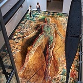 'Tantos mundos en este': el S.O.S. de Marina Núñez desde el Museo de Antropología