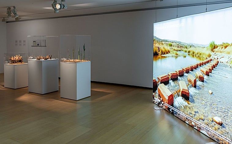 Imagen principal - De arriba abajo, montaje de 'Disputa y pausa'; 'Fernte bar y salón de lectura' (1954), de José Martínez Peris; y 'Joven pálida', de ángeles Ballester