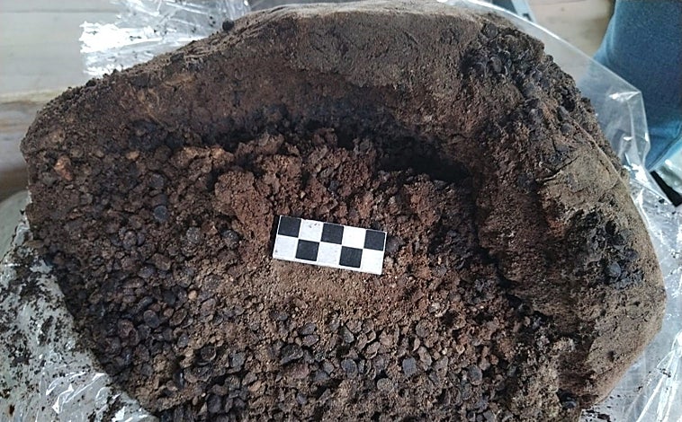 Main image - Detail of the contents of the amphorae, reconstruction of the pieces of Civita Giuliana and one of the food containers