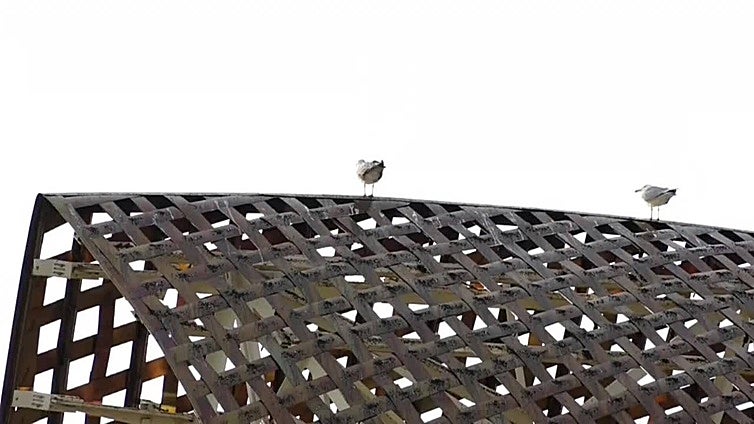 Barcelona, una de las pocas ciudades españolas con una "joya" legado de Frank Gehry