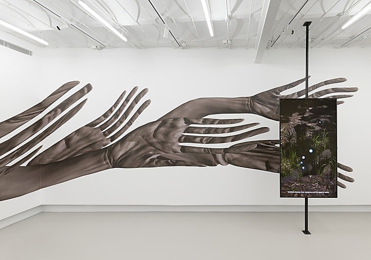 'Kokki', de Dia Priyageetha en The Ryder: cuerpos en suspensión