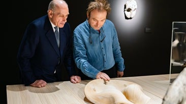 'Destaques. Picasso x Barcelona