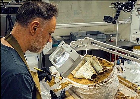 Imagen secundaria 1 - El estandarte de jabalí, el conservador Jonathan Clark realizando la microexcavación y el carnyx recuperado