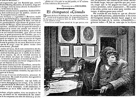 Imagen secundaria 1 - La vaca Veronika y artículos sobre el mono 'Cónsul' (1903) y 'Schnucki' (1925)