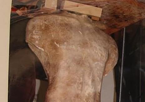 Imagen secundaria 1 - Detalles del Kouros