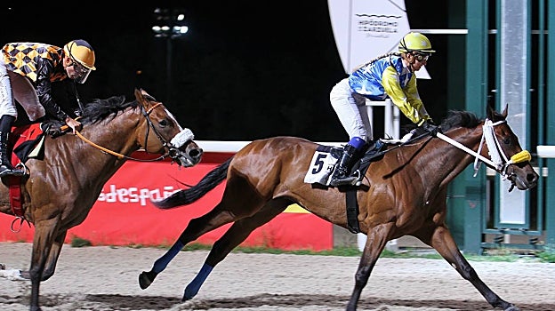 «MONTERREDONDO» - 3ª CARRERA «PREMIO JUAN VICENTE CHAVARRÍAS»