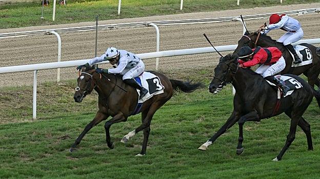 «DEFINED» - 3ª CARRERA «PREMIO RESTAURANTE ARATZ ERRETEGIA»