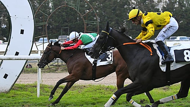 «LINDA» - 6ª CARRERA PREMIO CULMIA HARRIBITXI«
