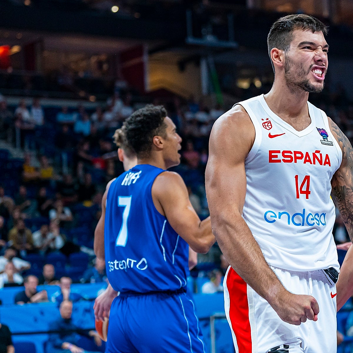 Willy Hernangómez, la estrella que más brilla de España