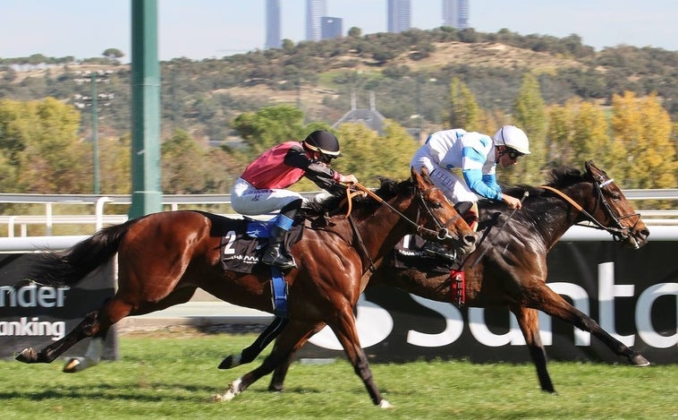 'Il Decamerone', Se impone con gran autoridad y de punta a punta en el Gran Premio Román Martín