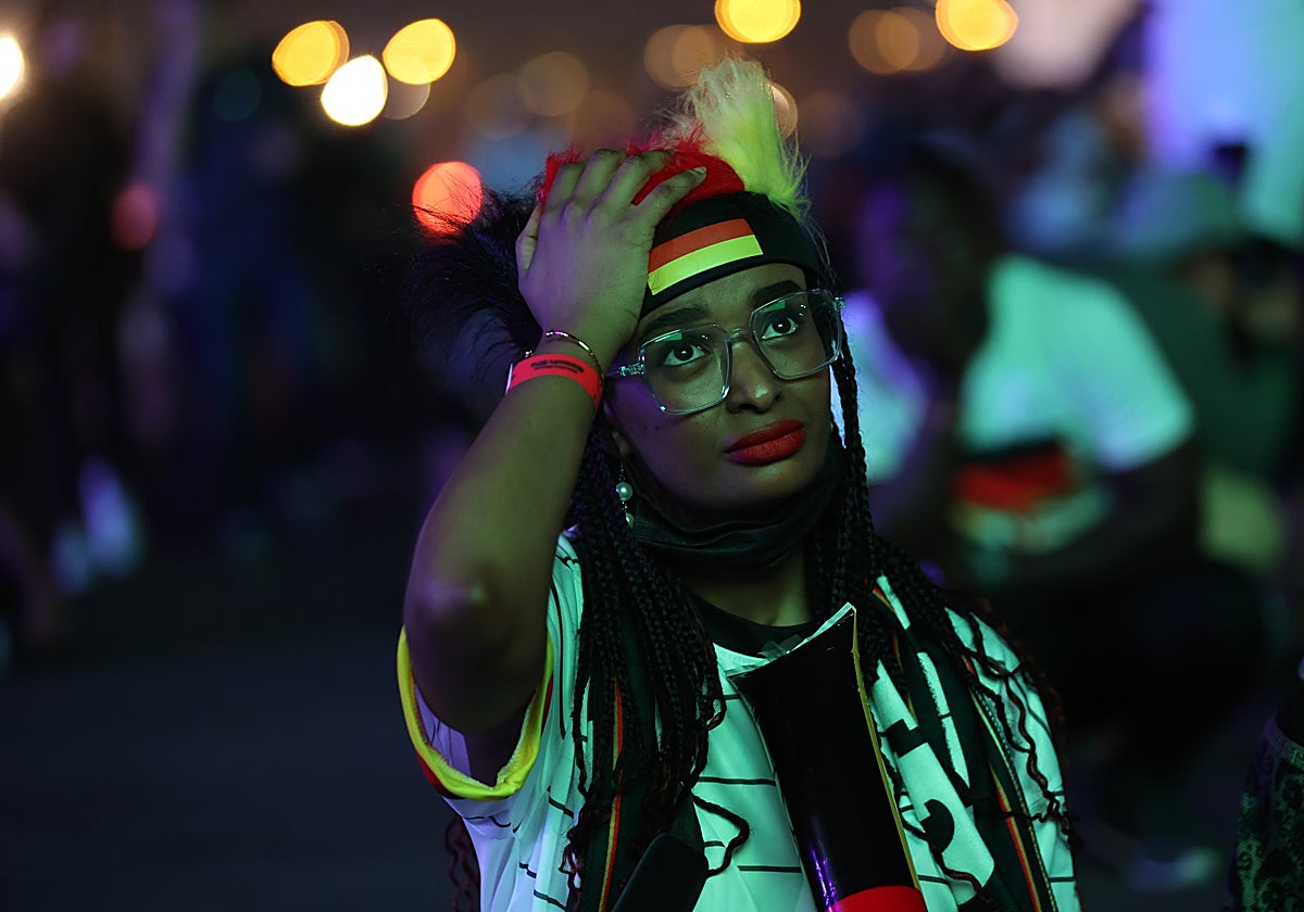 Alemania habla de «vergüenza» y pide responsabilidades por la eliminación