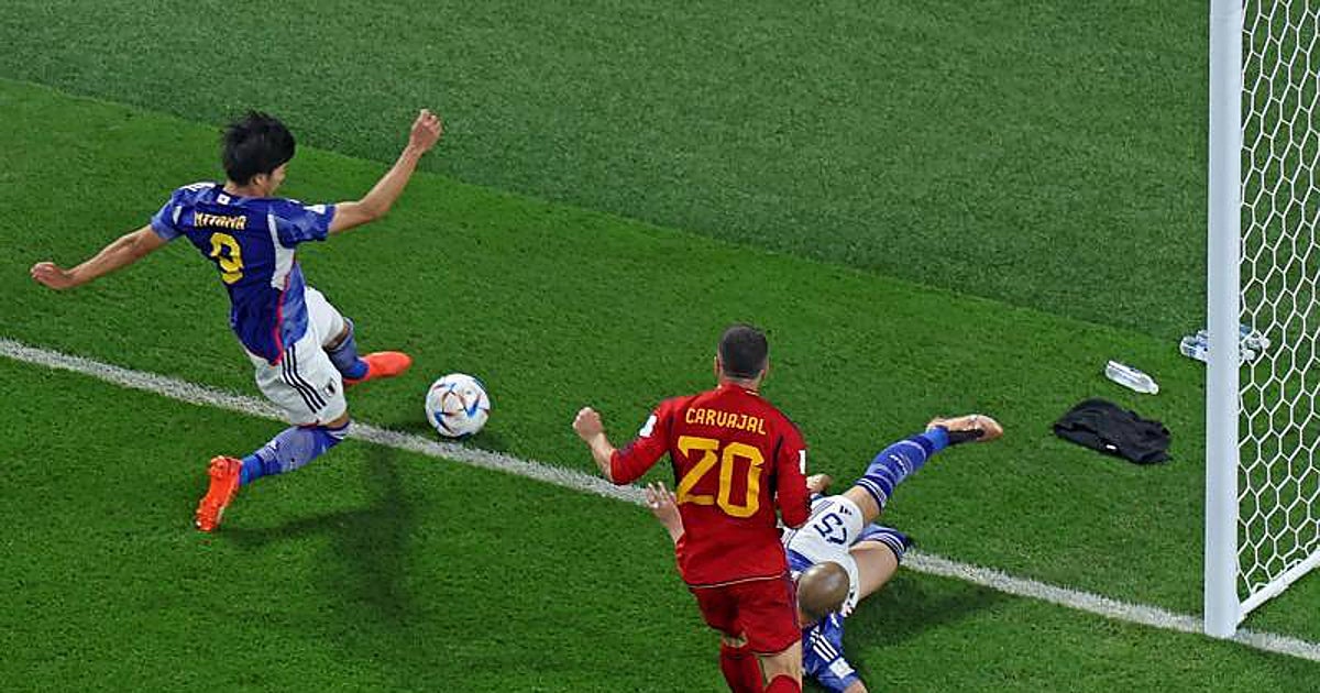 Como araña fumigada