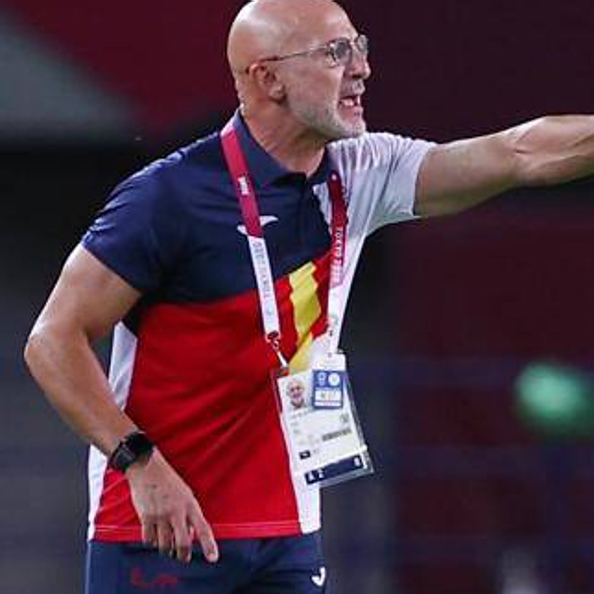 Quién es Luis de la Fuente, el sustituto de Luis Enrique