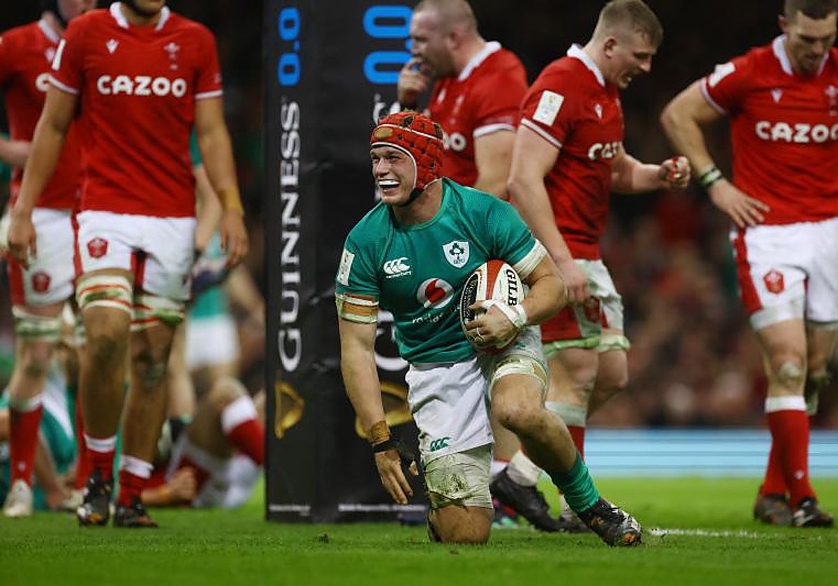 El irlandés Josh van der Flier, durante el partido ante Gales