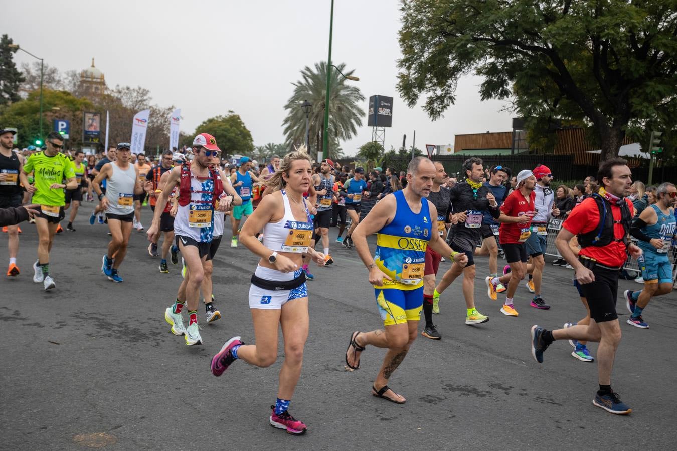 Zurich Maratón Sevilla 2023: las imágenes de la carrera