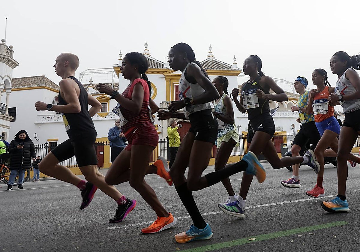Participantes en el Maratón de Sevilla 2023
