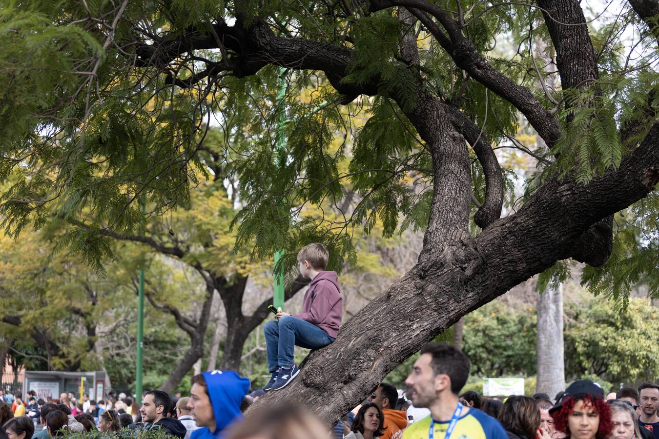 Diferentes momentos del Zurich Maratón de Sevilla 2023