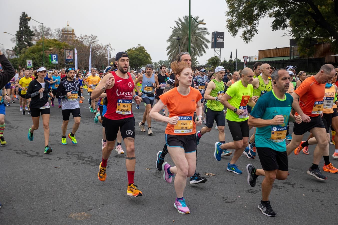 Diferentes momentos del Zurich Maratón de Sevilla 2023