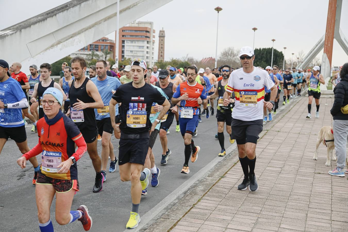 Participantes en el Maratón de Sevilla 2023