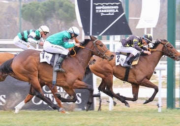 Brillante Jornada Inaugural en el Hipódromo de Madrid