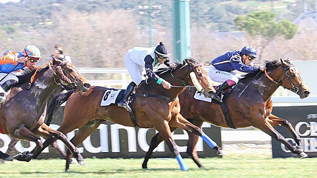 «MAGIC WARRIOR» - 3ª CARRERA «PREMIO CAPORAL»