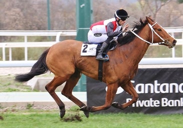La emoción de las preparatorias a los Grandes Premios llega al Hipódromo de Madrid