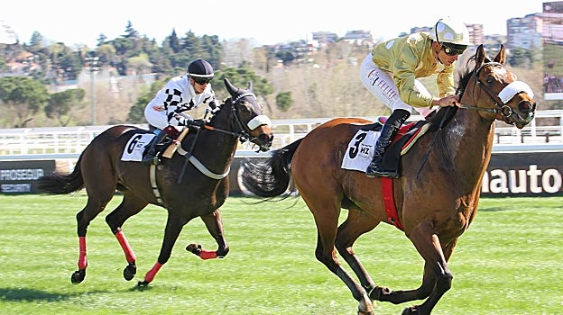 «Telemachus» - 1ª Carrera « Premio Familia Bardera»