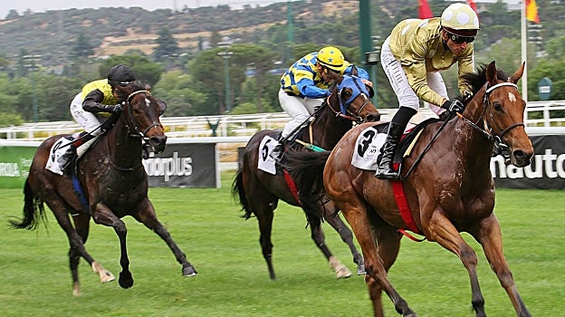 "Far Away Thoughts" - 1ª Carrera " Premio Francisco Quilez "Quilates""