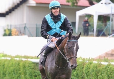 Espectacular victoria de 'Safaga', coronándose en el Gran Premio Beamonte - OAKS español