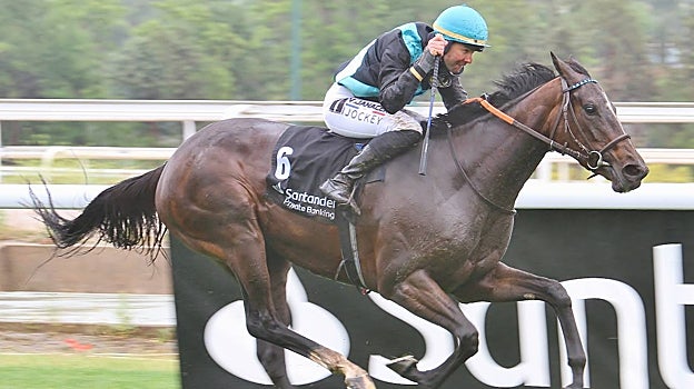 "Safaga" - 5ª Carrera ''Gran Premio Beamonte - OAKS español"