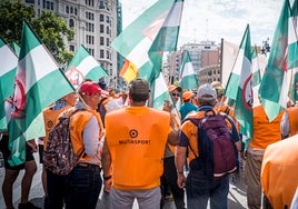 «Y la caza volvió a votar»