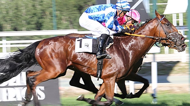 Hazy Eye, ganador de la segunda carrera, el Premio Premier Galop