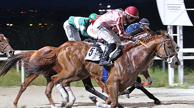 Bribón ganó la séptima carrera, el Premio Abe de Fuego