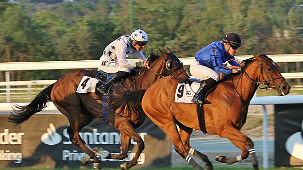 Max's Thunder ganó el Premio Richal