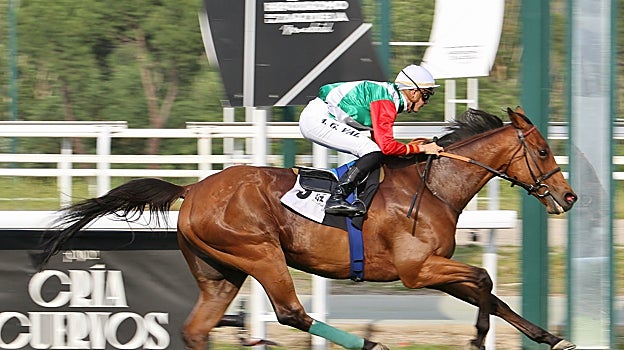 Patrick Sarsfield, ganador del Premio Dual Sea