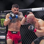 ¡Vamos, Ilia, Matador!