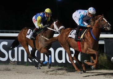 Continúa el gran éxito de las Noches de verano en el Hipódromo de Madrid
