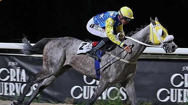 «As de Oros» - 5ª Carrera «Premio Victoriano Jiménez»