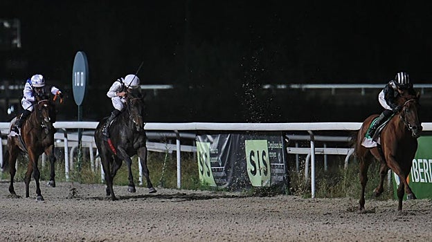 «Trapío» - 4ª Carrera «Premio Revirado»