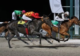 Las Noches del Hipódromo llenan de público el recinto madrileño