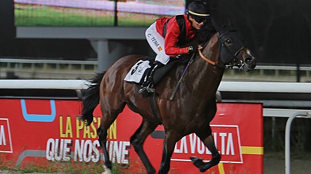 Legionario ganó el Premio Rocío Arango