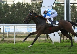 La Copa de Oro, cita ineludible en el Hipódromo de San Sebastián