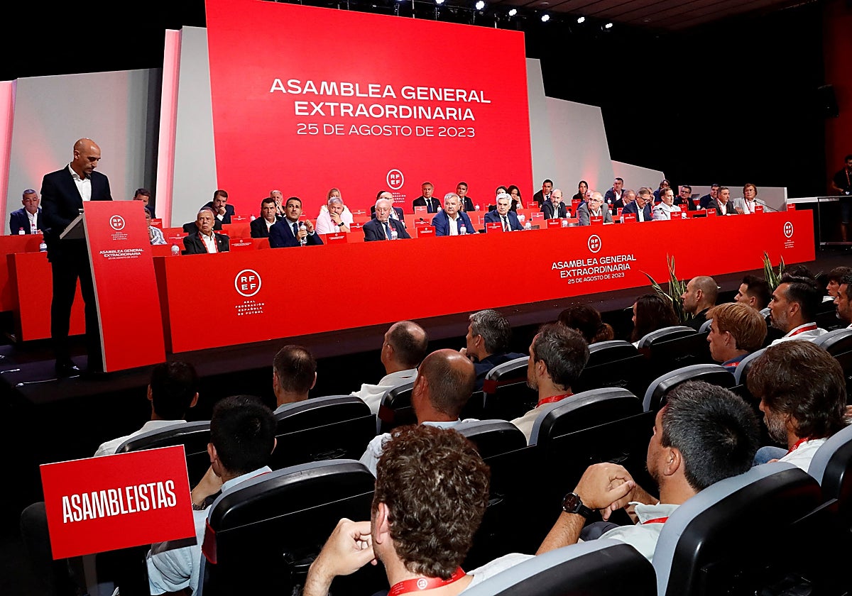 Asamblea extraordinaria de la Federación celebrada este viernes