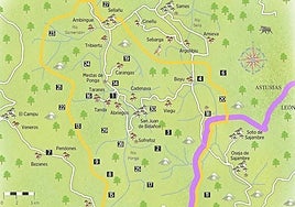 Ponga, llave del paraíso