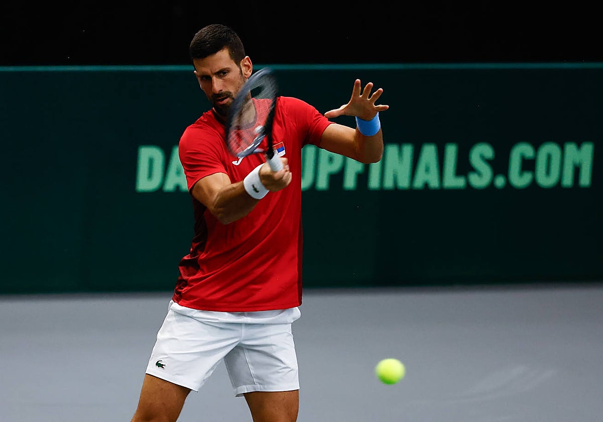 Estadísticas del Davidovich - Djokovic de la Copa Davis