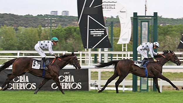 "Furioso " - 3ª Carrera "Premio Partipral"