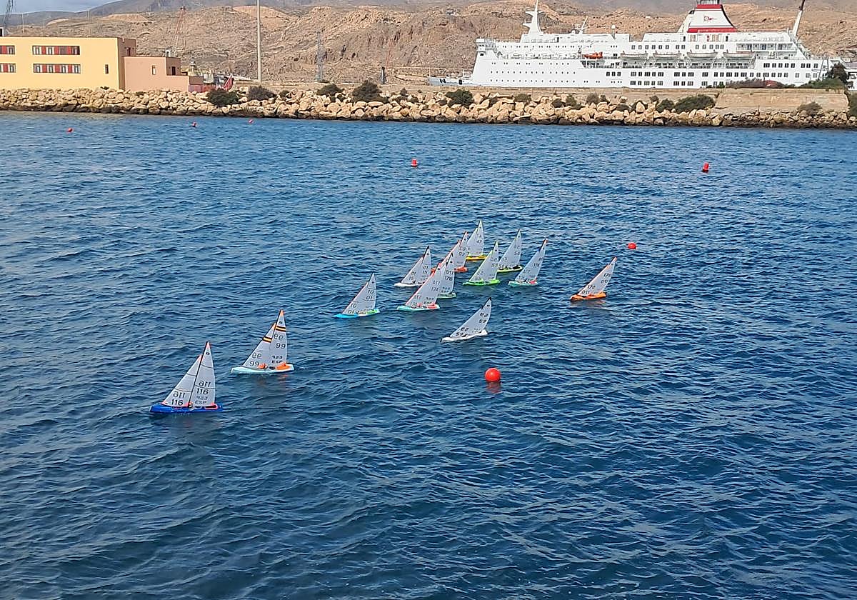 José Valverde se proclamó campeón andaluz y subcampeón nacional de Vela Radio Control en aguas de Almería