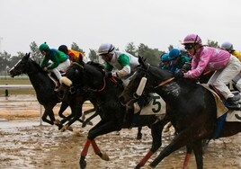 Las carreras de caballos vuelven a su cita anual con el hipódromo de Pineda