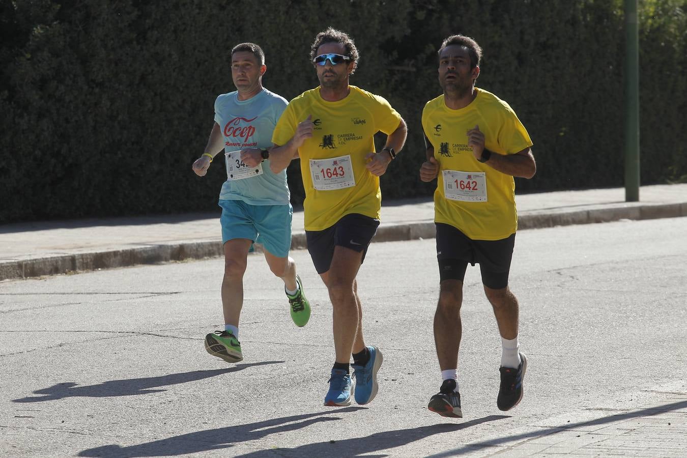 Celebración de la Carrera de Empresas de ABC de Sevilla